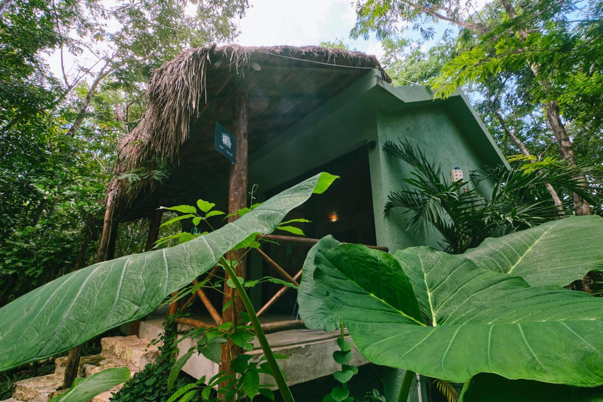 Villas Zamna - Jungle Villas كوزوميل المظهر الخارجي الصورة