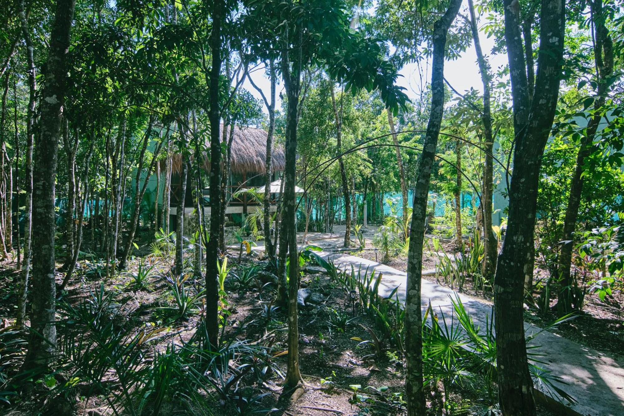 Villas Zamna - Jungle Villas كوزوميل المظهر الخارجي الصورة