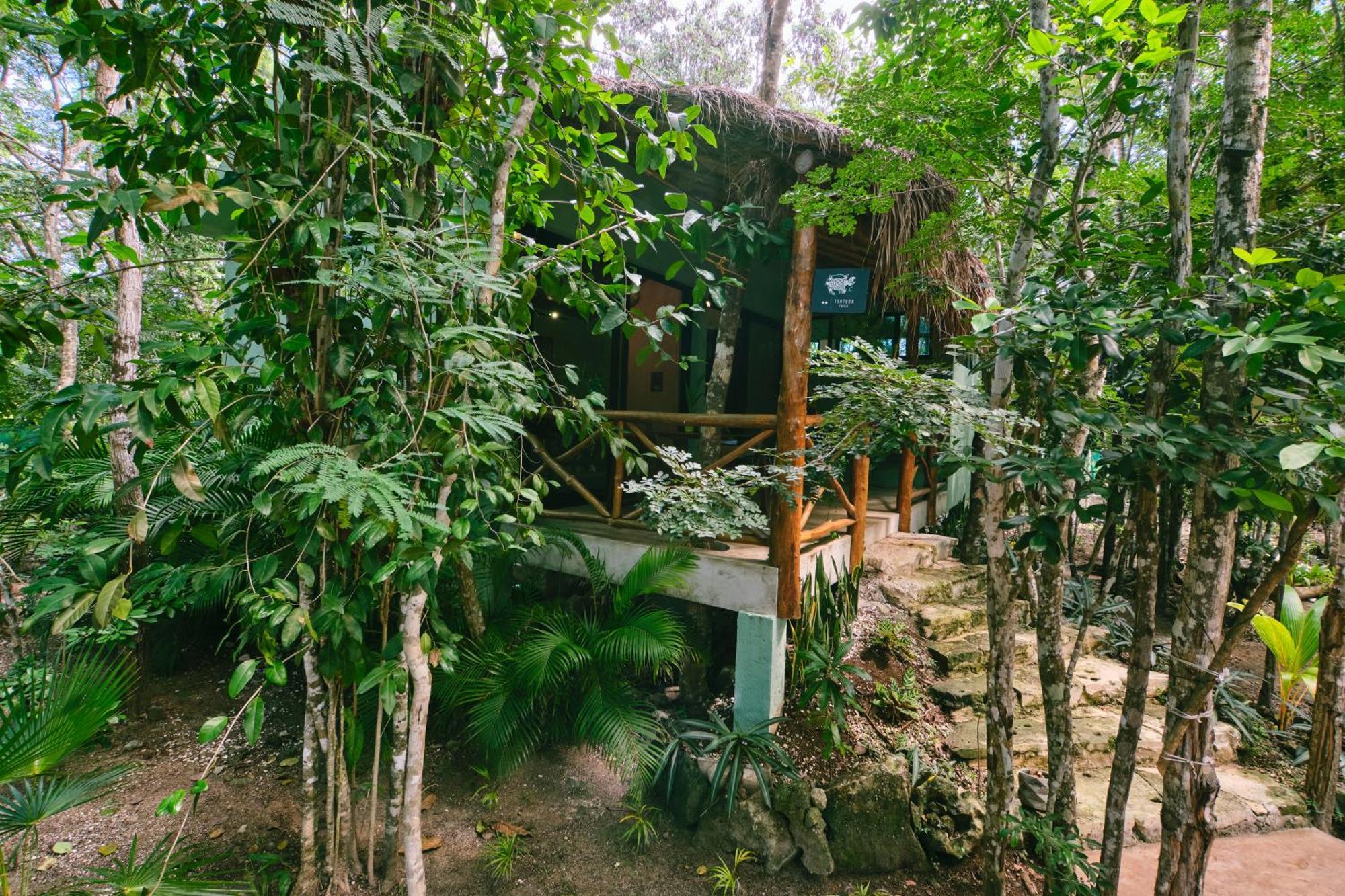 Villas Zamna - Jungle Villas كوزوميل المظهر الخارجي الصورة